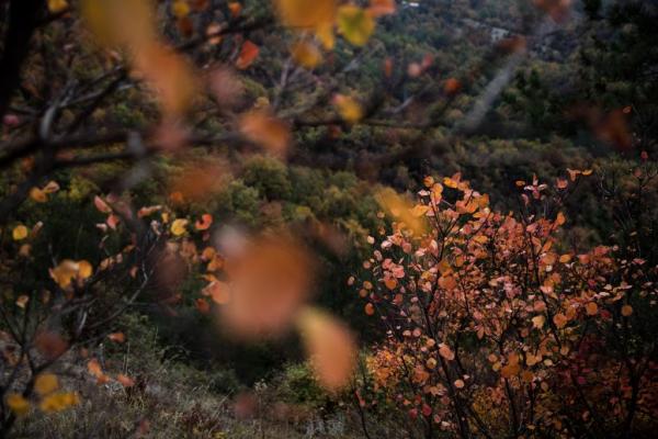 Σήμερα ξεκινά επισήμως το φθινόπωρο