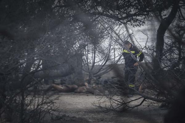 Μάτι: Ψηφίζεται την Τετάρτη η πράξη νομοθετικού περιεχομένου για τους πληγέντες