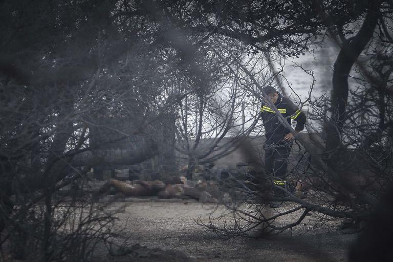 Μάτι: Ψηφίζεται την Τετάρτη η πράξη νομοθετικού περιεχομένου για τους πληγέντες
