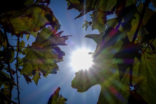 Βελτιώνεται ο καιρός και ανεβαίνει η θερμοκρασία