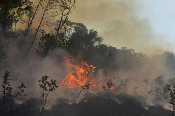 Αμαζονία: Επτά χώρες υπέγραψαν σύμφωνο για την προστασία του μεγαλύτερου τροπικού δάσους στον κόσμο