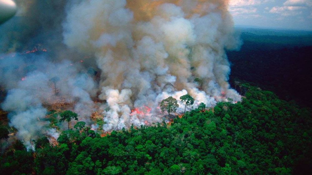 Ποιοι και πώς επωφελούνται από την καταστροφή του δάσους στον Αμαζόνιο