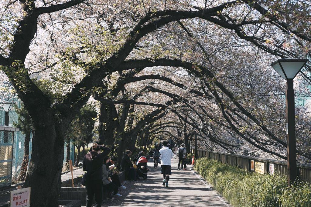 Tόκιο: Ένα ταξίδι στην πόλη των αντιθέσεων