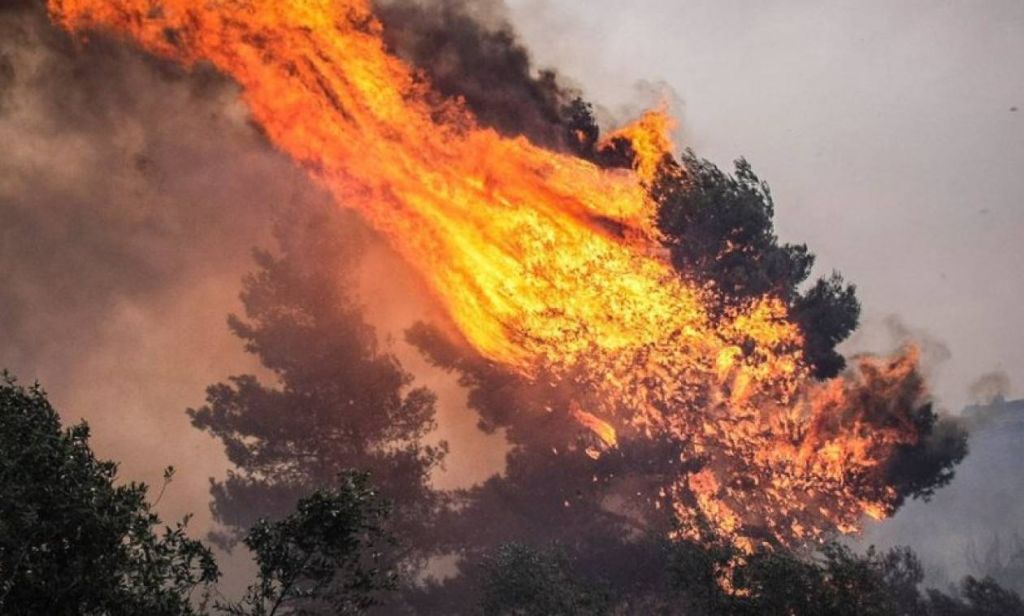 Φωτιά τώρα στην Εύβοια - Συναγερμός στην πυροσβεστική