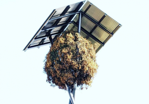 Ένα καταφύγιο «αιώνιας αγάπης» υψώνεται στη Λωζάνη