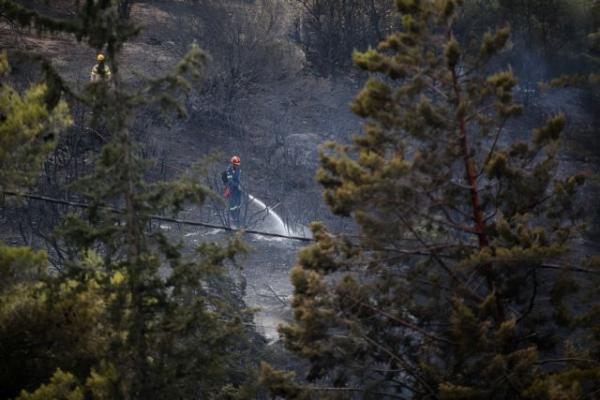 Σε ύφεση τα πύρινα μέτωπα – Τραγωδία στην Ηλεία με έναν νεκρό