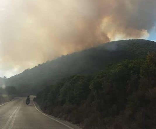 Μεγάλη φωτιά στη Ζάκυνθο – Ενισχύονται οι δυνάμεις
