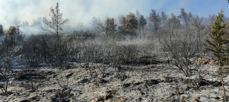 Σε ύφεση η φωτιά στις Μαριές Ζακύνθου