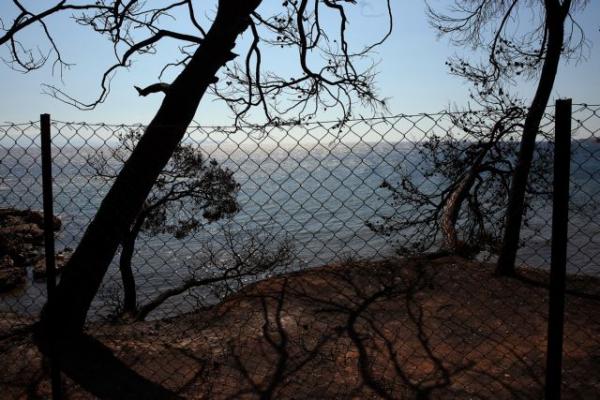 Τραγωδία στο Μάτι: Δολιοφθορά στη μηχανή του πραγματογνώμονα