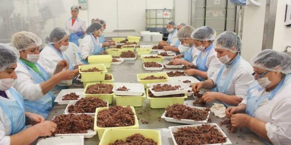 Μετανάστες-εργάτες από το εξωτερικό ζητά η Αλβανία