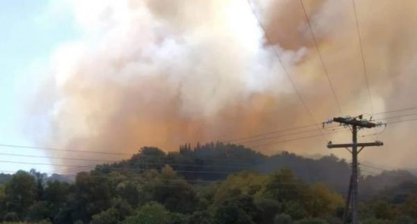 Σε ύφεση η πυρκαγιά στη Δώριδα Φωκίδας – Σώθηκαν τα δύο χώρια