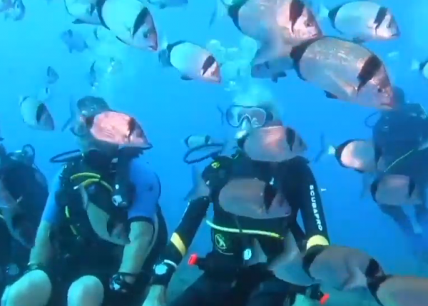 Κύπρος: 96χρονος γιόρτασε τα γενέθλιά του στο… βυθό της θάλασσας