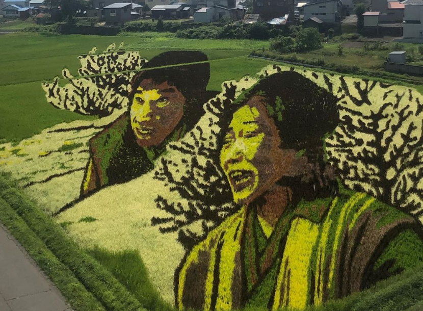 Αριστουργήματα «ζωγραφισμένα» σε καλλιέργειες ρυζιού