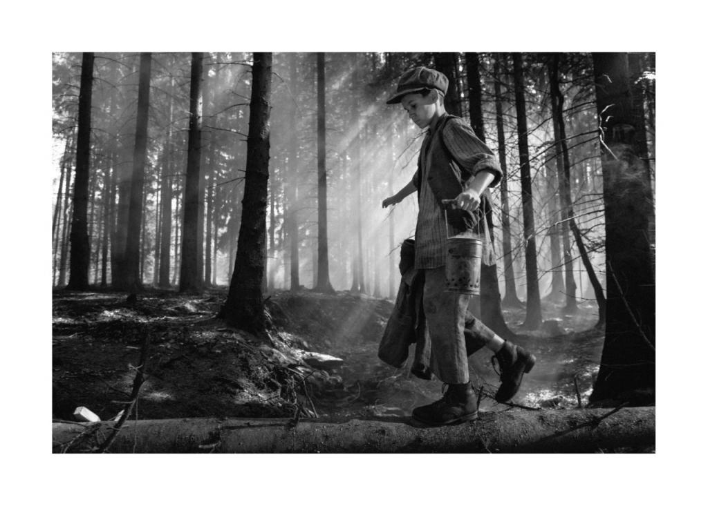 Φεστιβάλ Βενετίας : Τσεχική έκπληξη για το «Βαμμένο πουλί»