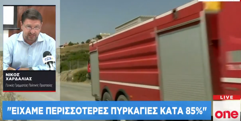 Ν. Χαρδαλιάς στο One Channel: Αύξηση πυρκαγιών κατά 85% συγκριτικά με το 2018