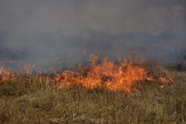 Φωτιά στη Μάνδρα κοντά στα διόδια Ελευσίνας