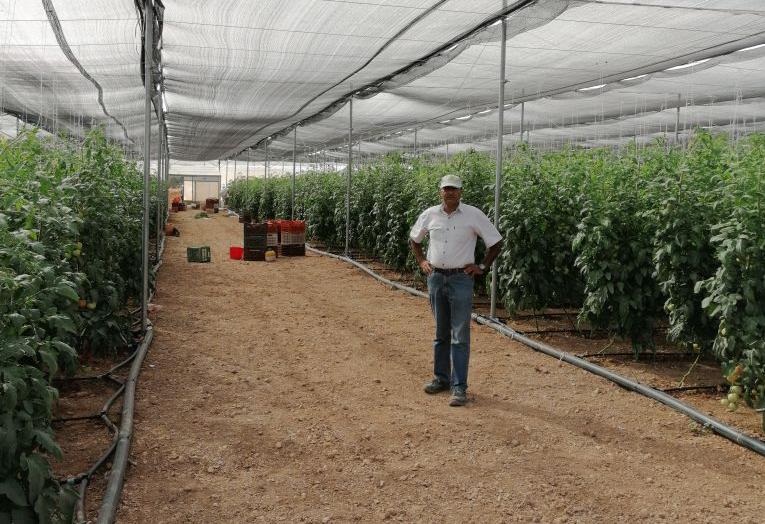 Success story: Ηρθε στην Ελλάδα με 200 ευρώ στην τσέπη και σήμερα καλλιεργεί πάνω από 1.000 στρέμματα