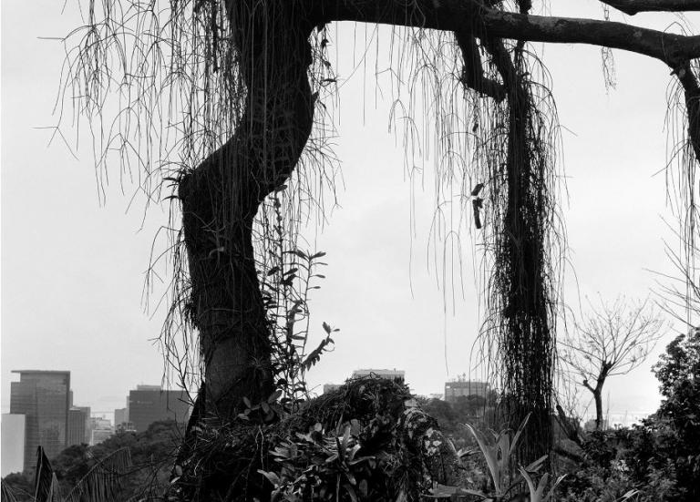 «Επισκευάζεται ένα δάκρυ;»: Έκθεση του Μανώλη Μπαμπούση στη γκαλερί Ιλεάνα Τούντα