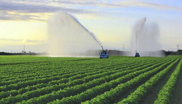 ΣΥΡΙΖΑ: Αυξήσεις έως 10% στο αγροτικό ρεύμα