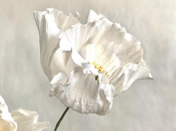 Εντυπωσιακά λουλούδια φτιαγμένα από χαρτί