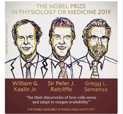 Σε τρεις ερευνητές το Νόμπελ Ιατρικής 2019