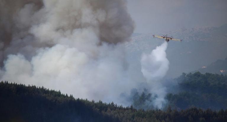Φωτιά στην Ηλεία – Μεγάλη κινητοποίηση της Πυροσβεστικής