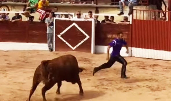 Χαμός σε αρένα στην Ισπανία: Ταύρος ορμάει στο κοινό και ξεφεύγει