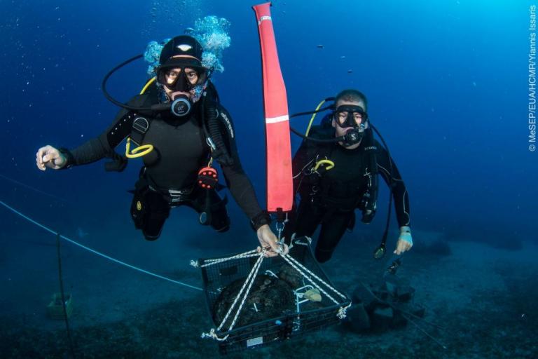 Σημαντικά ευρήματα από τις ανασκαφές στο πλοίο του λόρδου Έλγιν