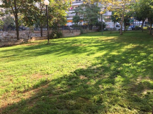 Δήμος Πειραιά : Ανάπλαση και συντήρηση πράσινου σε όλες τις γειτονιές
