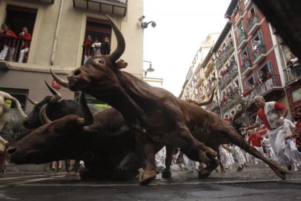 Με γενετική τροποποίηση δημιουργήθηκαν ταύροι χωρίς κέρατα