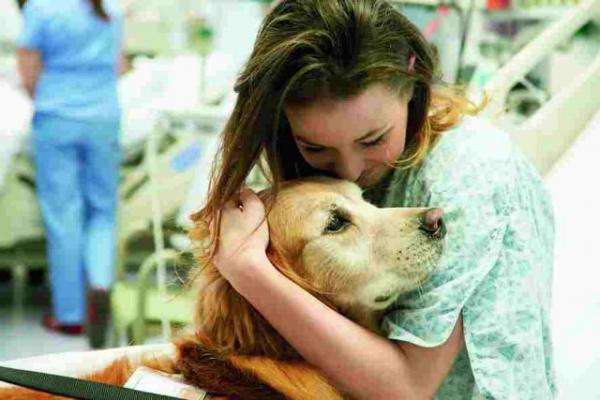 Ο σκύλος προστατεύει… την καρδιά και αυξάνει το προσδόκιμο ζωής