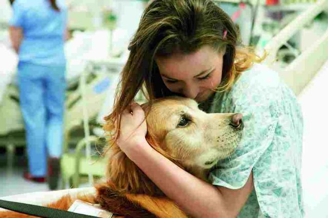 Ο σκύλος προστατεύει... την καρδιά και αυξάνει το προσδόκιμο ζωής