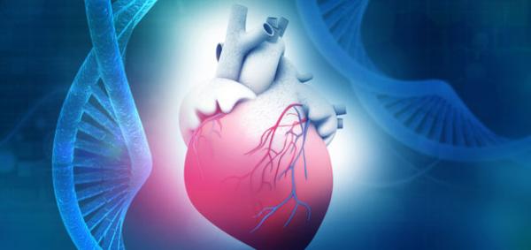 Καρδιολογία: Γενετικός έλεγχος και ιατρική ακριβείας