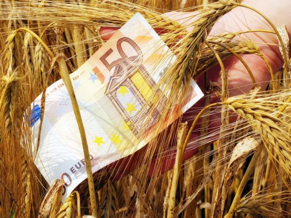 Η νέα ΚΑΠ φέρνει μειώσεις έως και 5% στις αγροτικές επιδοτήσεις