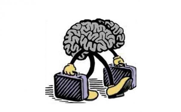 Τι φταίει για το brain drain – Οι απαιτήσεις της αγοράς εργασίας