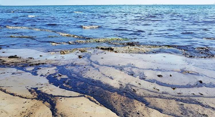 Βραζιλία : Άλυτο μυστήριο με πετρελαιοκηλίδες που έχουν μολύνει 130 παραλίες