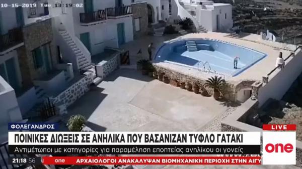 Φολέγανδρος: Ποινική δίωξη στους μαθητές που κακοποίησαν τυφλή γάτα