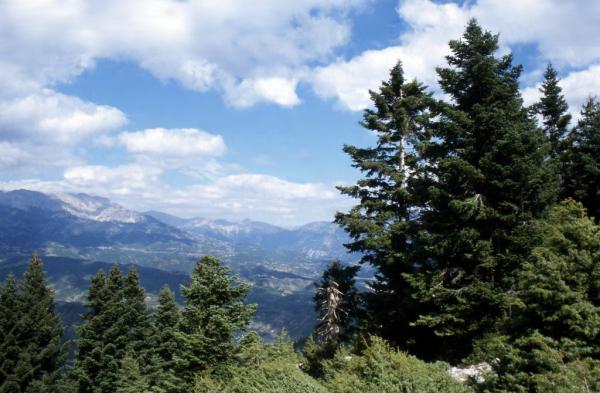 Άρτα : Το γεφύρι, τα Τζουμέρκα και ο Αμβρακικός