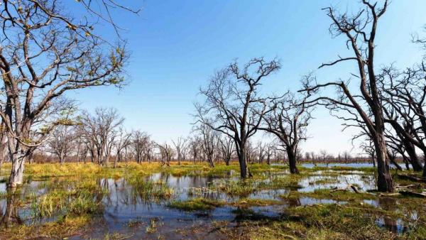 Νέα επιστημονική έρευνα : Όλοι καταγόμαστε από την Μποτσουάνα