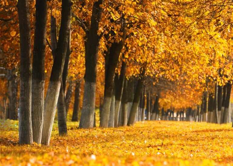 Οκτώβρης: Τι να περιμένουμε αστρολογικά;