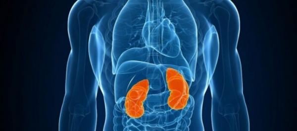 Η θεραπεία νεφρικής υποκατάστασης είναι συχνότερη στους άντρες απ’ ό,τι στις γυναίκες