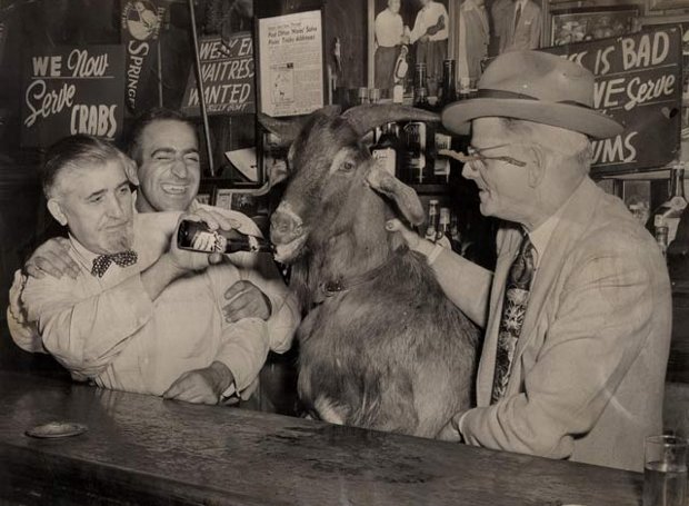 «Η κατάρα του τράγου» : Ο θρύλος με τον Έλληνα που «καταράστηκε» ομάδα στο Σικάγο