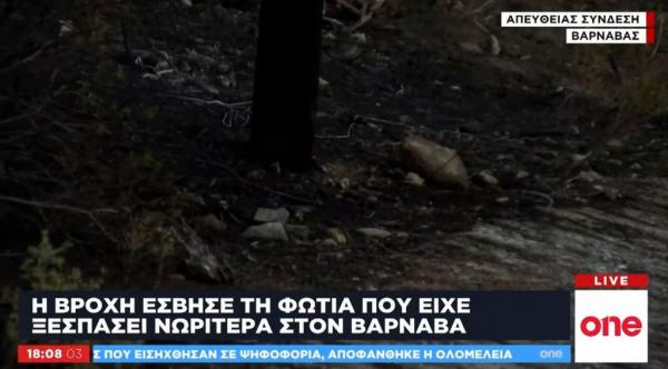 Ένα… πουλί η αιτία της φωτιάς στον Βαρνάβα