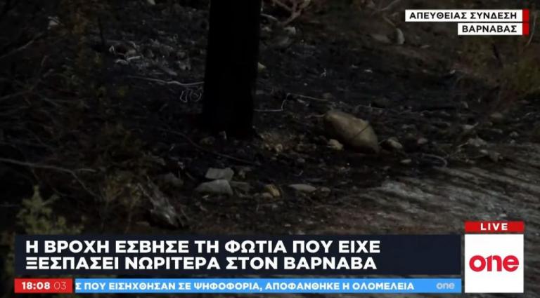 Ένα… πουλί η αιτία της φωτιάς στον Βαρνάβα