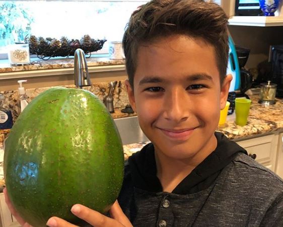 Ρεκόρ Γκίνες : Το πιο βαρύ αβοκάντο στον κόσμο ζυγίζει 2,5 κιλά