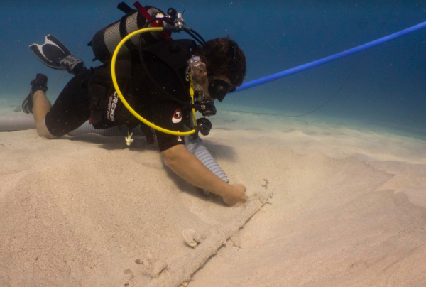 Ναυάγιο χιλιάδων ετών ανακαλύφθηκε σε εξαιρετική κατάσταση στη Μάλτα