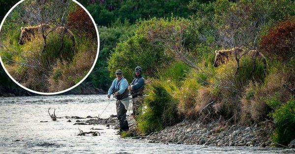 Η στιγμή που μια αρκούδα πλησιάζει αθόρυβα δύο ανυποψίαστους ψαράδες