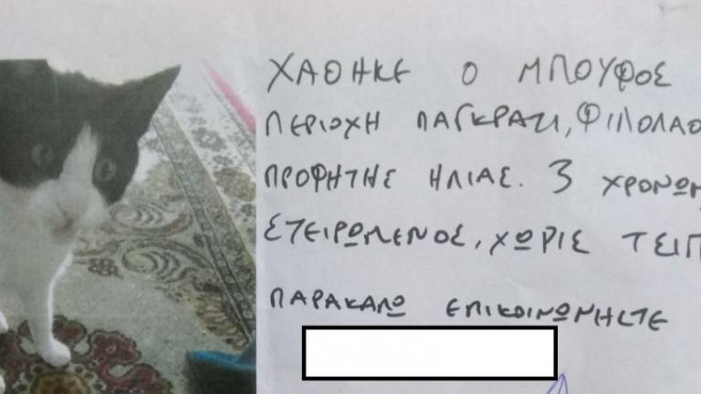 «Πληρωμένη» απάντηση για τον χαμένο γάτο στο Παγκράτι