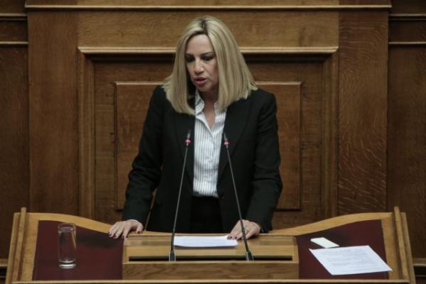 Γεννηματά : Ανοιχτά πανεπιστήμια και τέλος στα φαινόμενα ανομίας