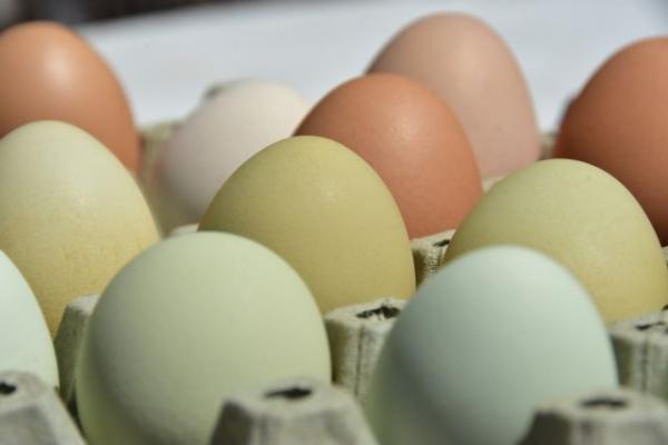 Αυγά : Γιατί δεν πρέπει να τα βάζετε στην πόρτα του ψυγείου